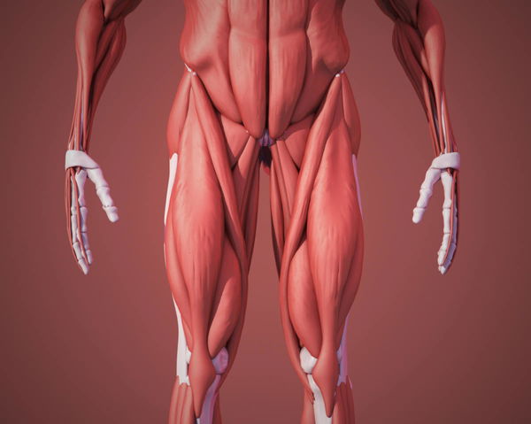 ACTN3 Gene by Country