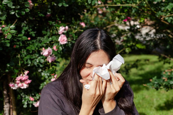 Allergy Rates by Country