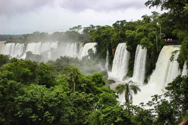 Amazon Rainforest Countries