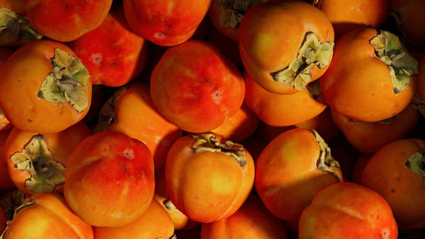 Apricot Production by Country