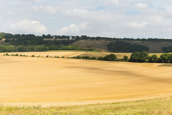 Arable Land by Country