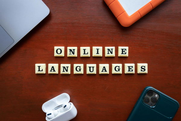 Average Number of Languages Spoken by Country