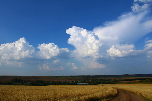 Best Weather by Country
