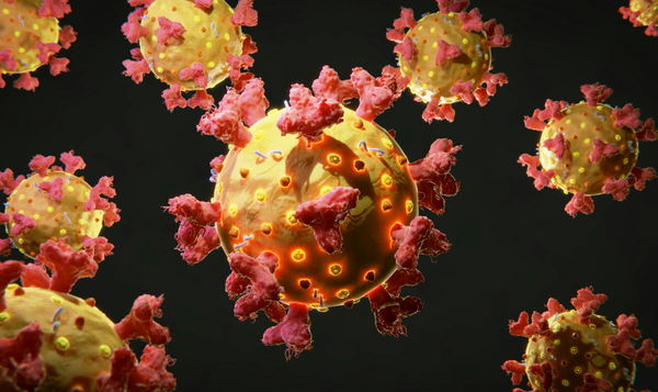 Cancer Rates by Country