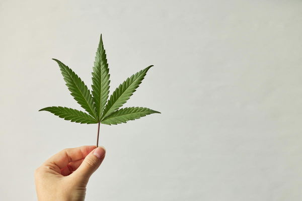 Countries Where Weed Is Illegal