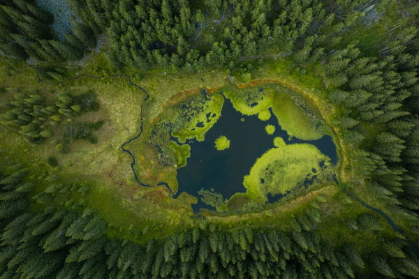 Ecological Footprint by Country