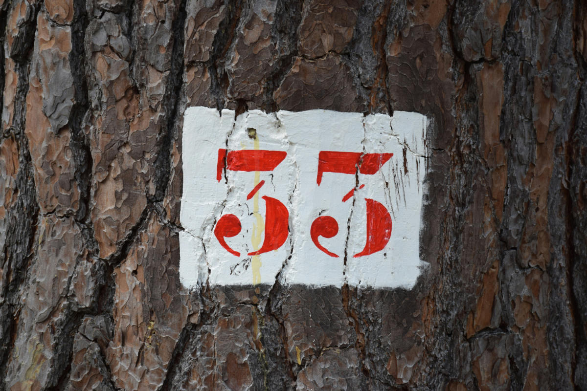 G33 Countries 2026