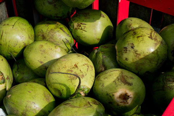 Guava Production by Country