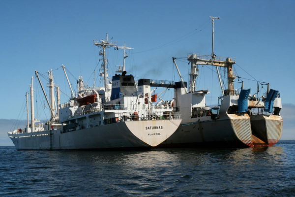 International Maritime Organization