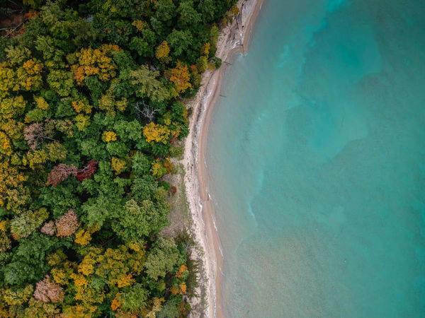 Land Border Count by Country