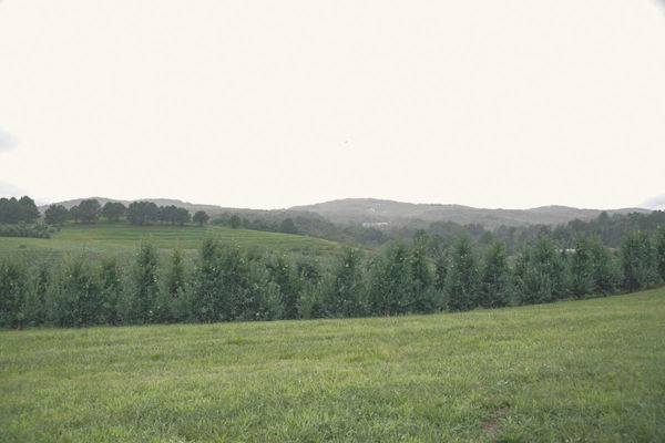 Land Reforms by Country