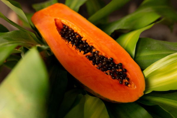 Papaya Production by Country