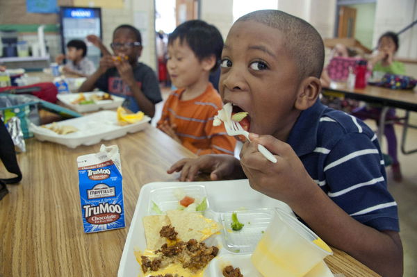 School Lunches Around the World
