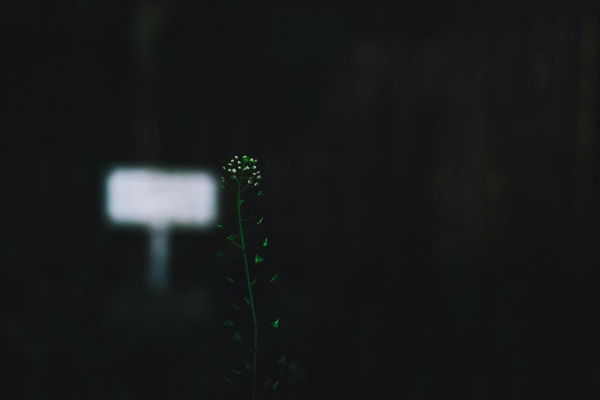 Unrecognized Countries