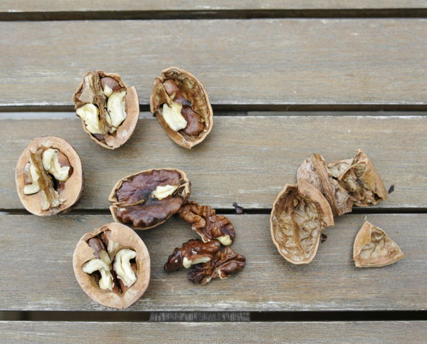 Walnut Production by Country