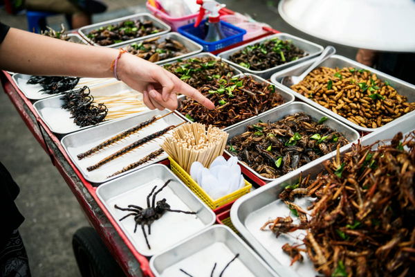 What Countries Eat Bugs/Insects