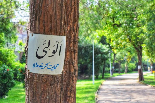 Which Countries Speak Farsi?