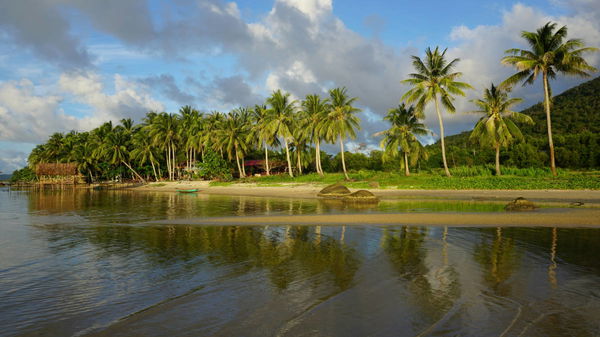 Which Country Celebrates the New Year First?