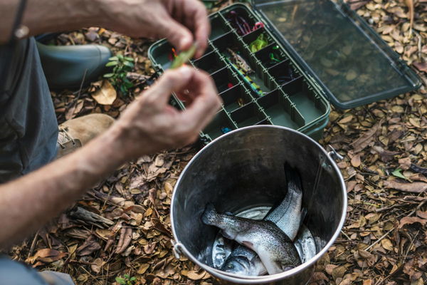 Alabama Rig Legal States