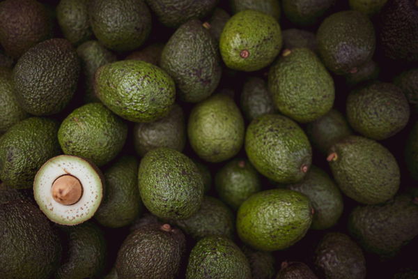 Avocado Production by State