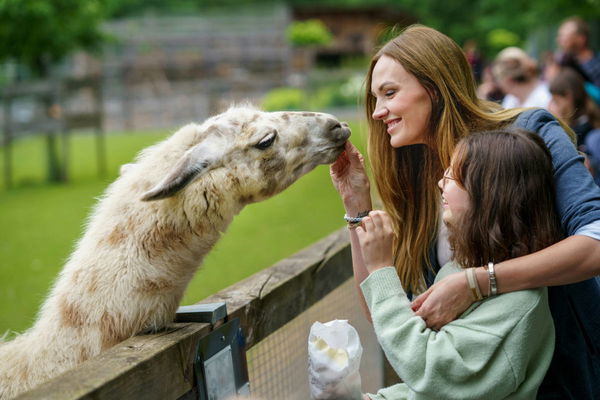 Best Zoos by State