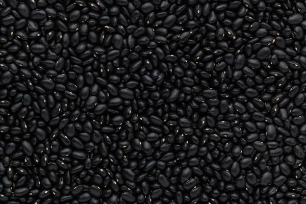 Black Bean Production by State