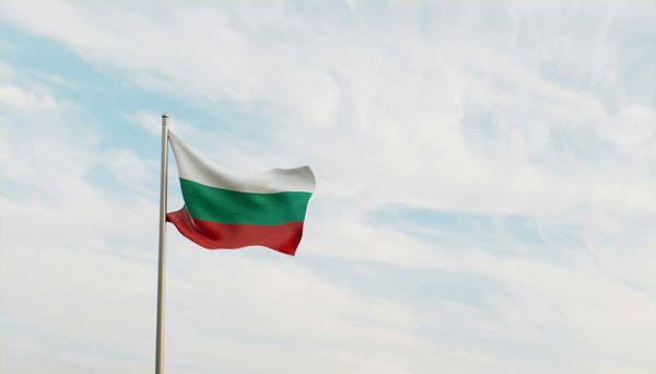 Bulgarian Population by State