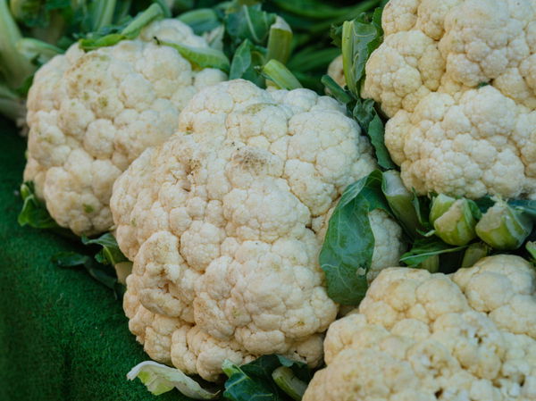 Cauliflower Production by State