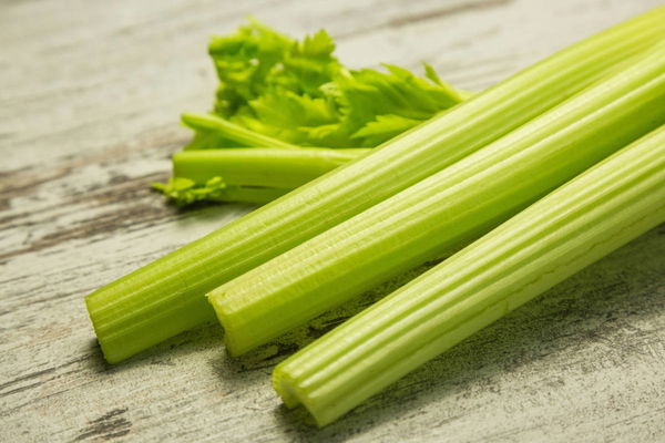 Celery Production by State