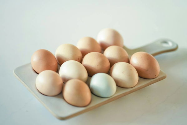 Egg Prices by State