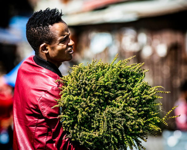 Ethiopian Population by State