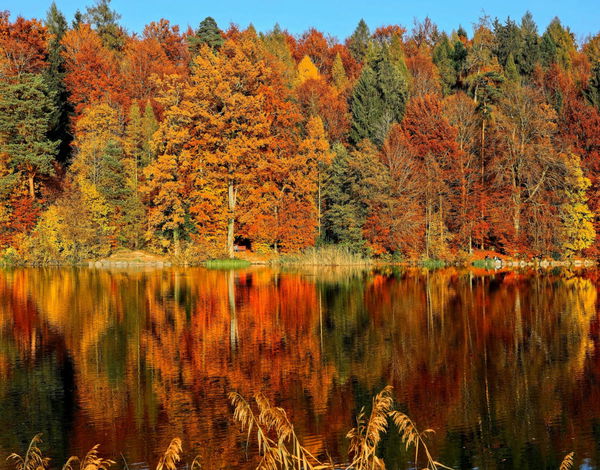 Best State for Fall Colors
