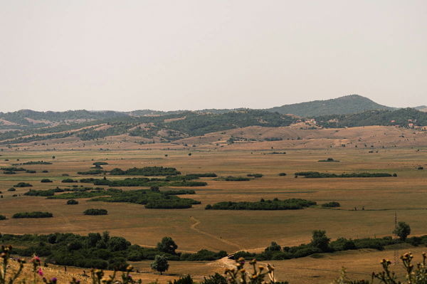 Federal Land by State