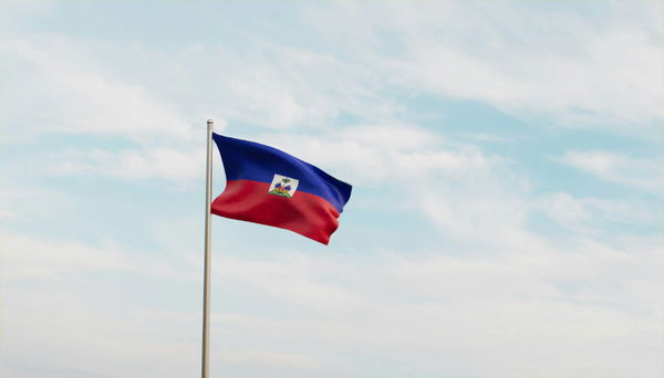 Haitian Population by State