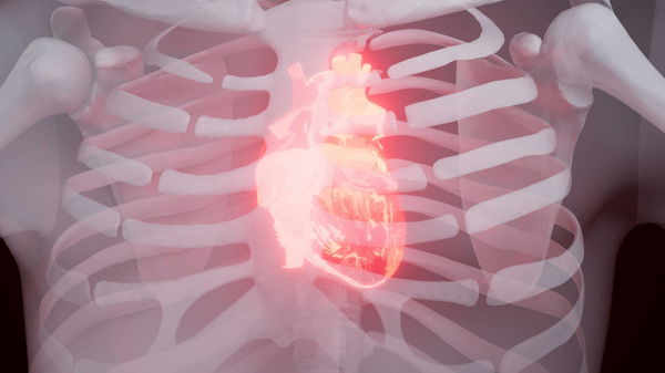 Heart Disease by State