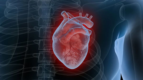 Heart Transplant Waiting List by State
