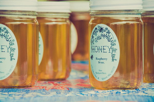 Honey Production by State