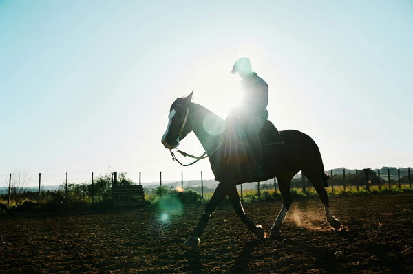 Horse Racing Legal States