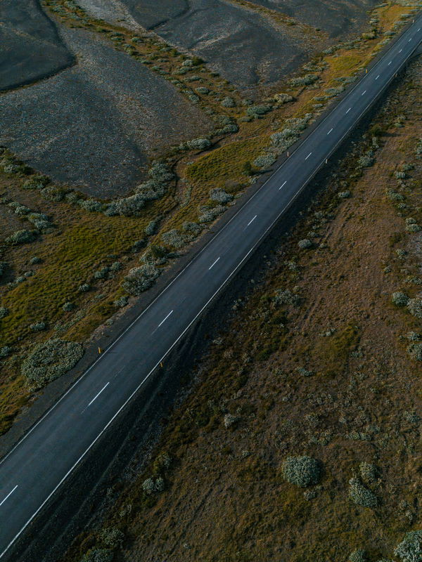 Lane Splitting Legal States