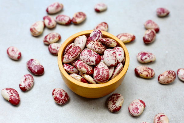 Lima Bean Production by State