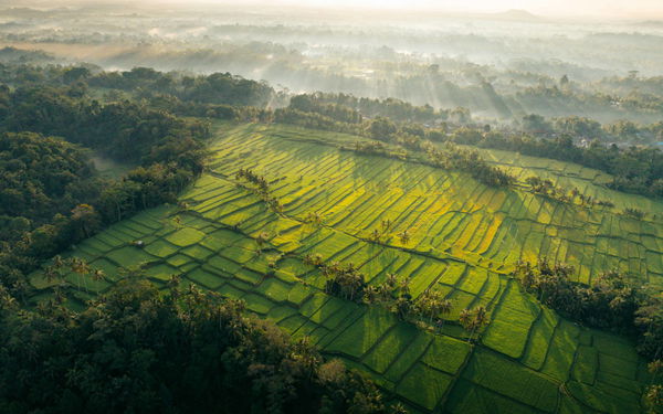 Oat Production by State