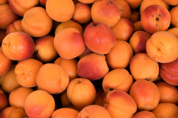 Peach Production by State