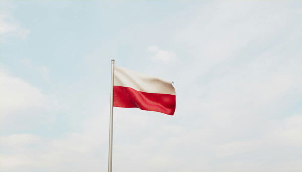 Polish Population by State