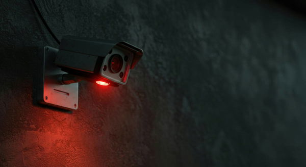 Red Light Cameras by State