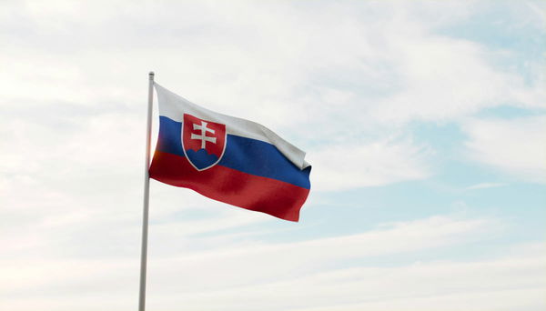 Slovak Population by State