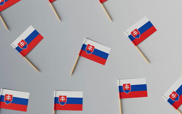 Slovene Population by State