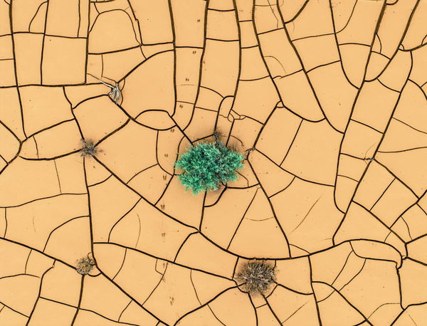 United States by Density