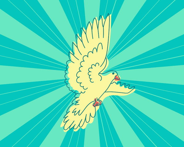 State Symbols of the United States