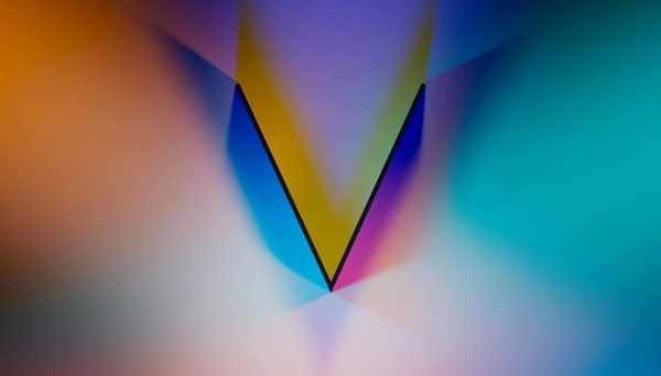 States that Start with V