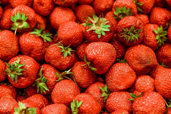 Strawberry Production by State